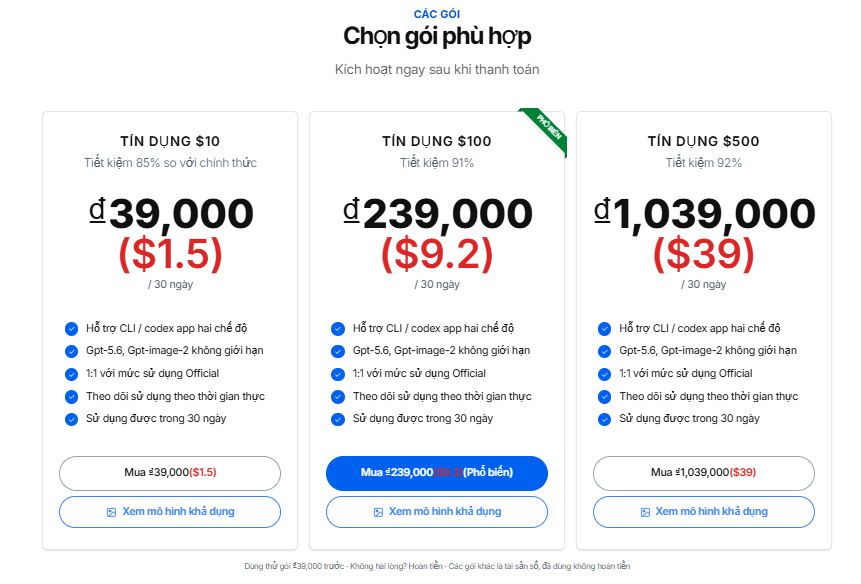 Hình minh họa workflow Codex 1